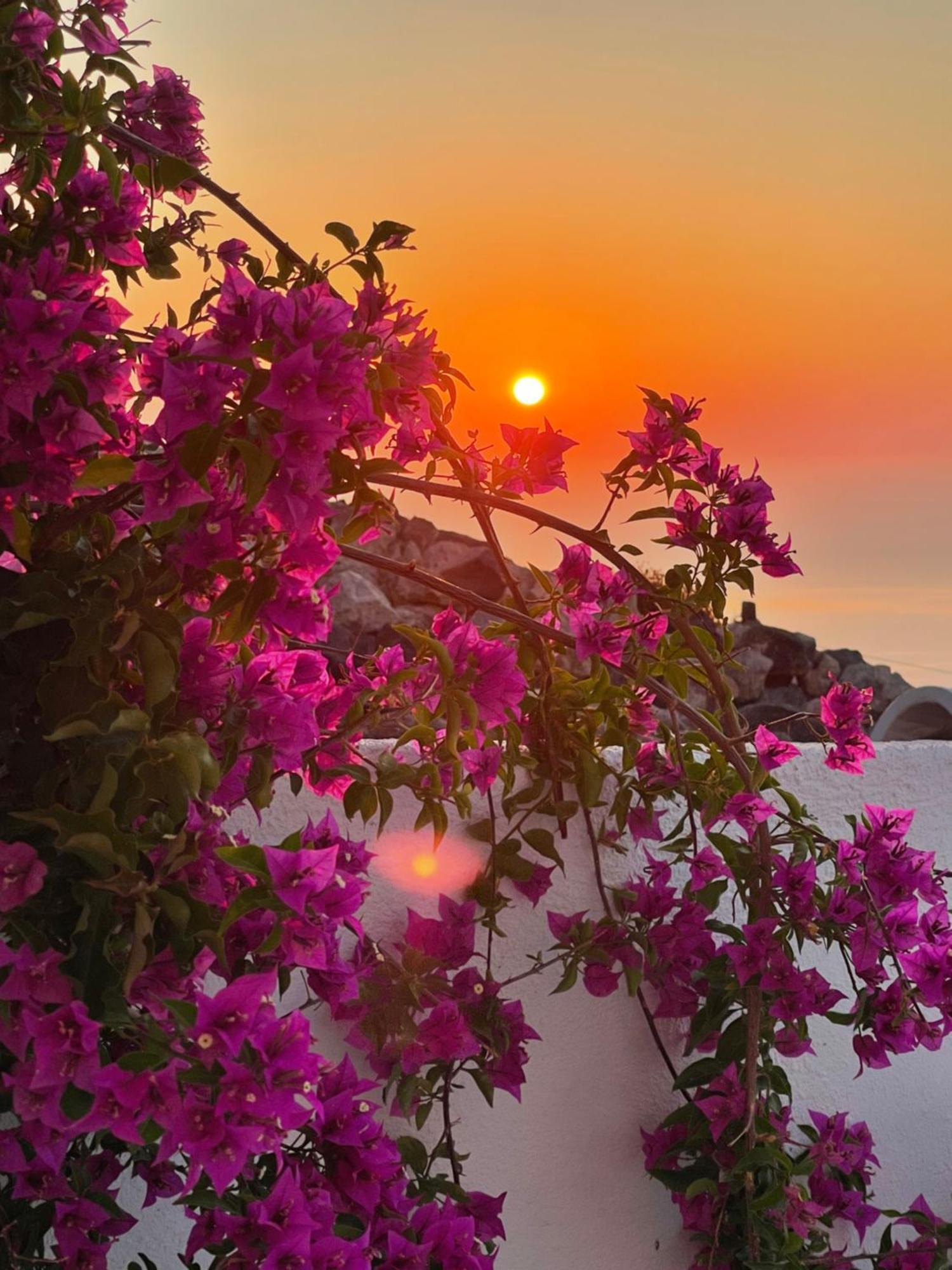 Villa Kastelli88 Santorini Pyrgos المظهر الخارجي الصورة