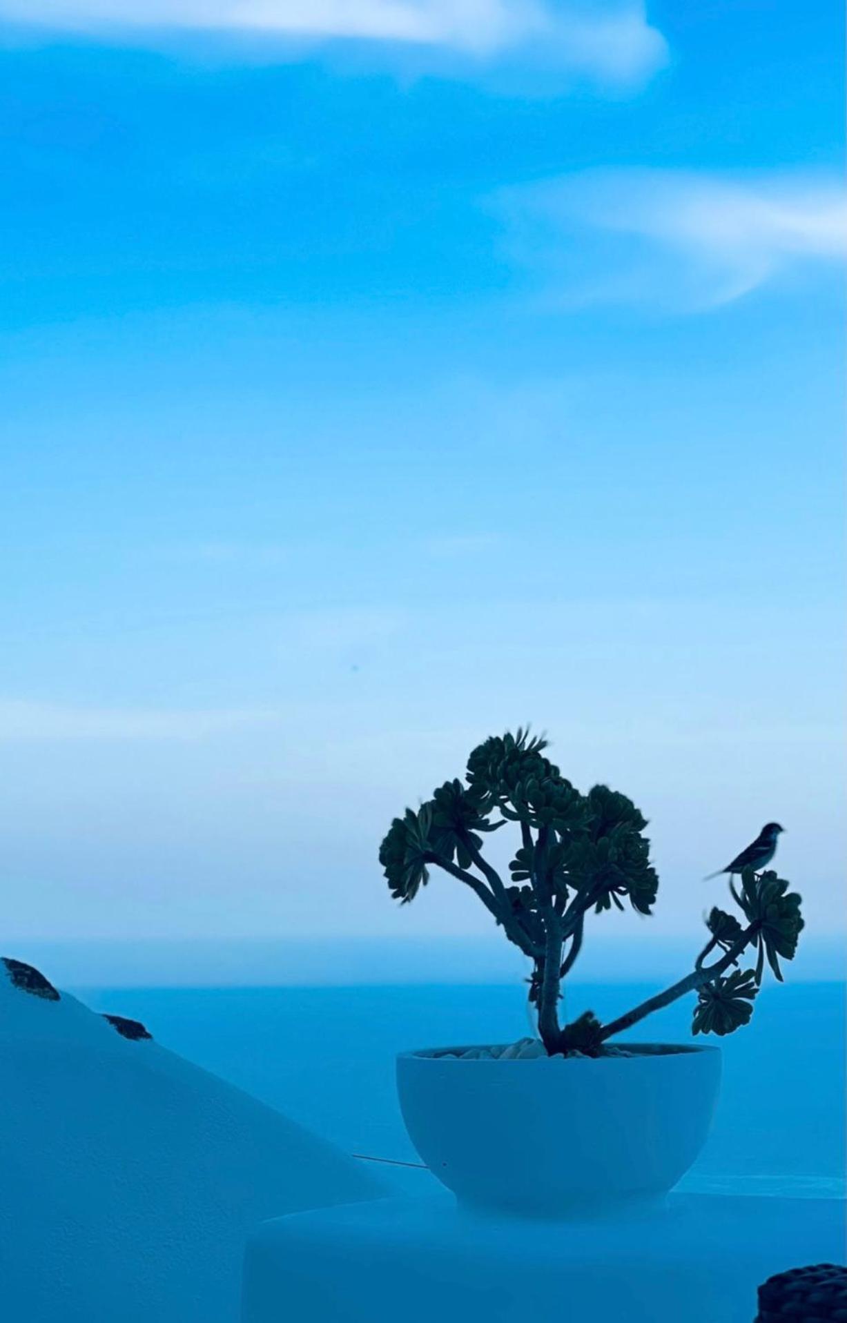 Villa Kastelli88 Santorini Pyrgos المظهر الخارجي الصورة